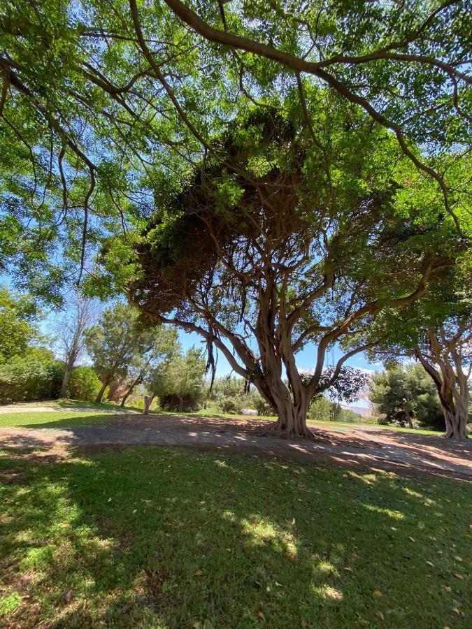Apt Con Espectacular Vista, Piscinas, Recep 24 Hs Benalmádena Kültér fotó